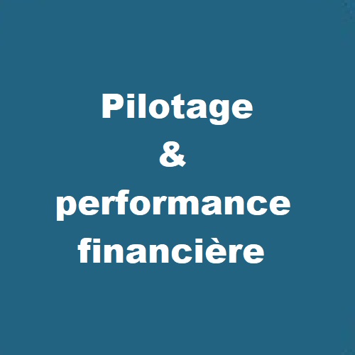 Pilotage-et-performance-financière